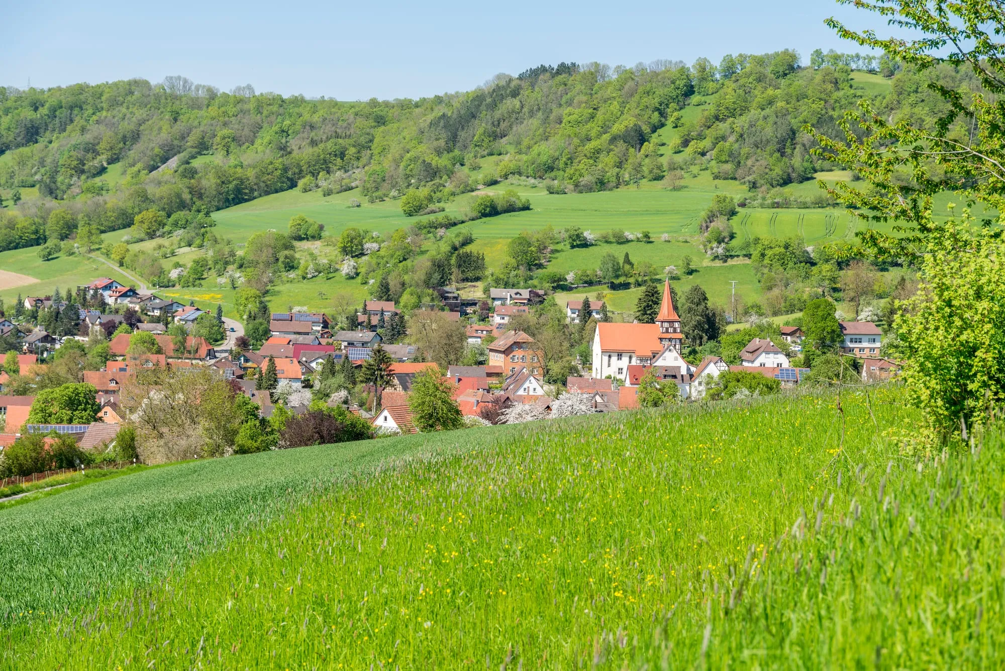 Marktbericht Forchheim 2026 - Preise, Bodenrichtwerte & Prognose - Nuernberg | my-home.de Immobilien